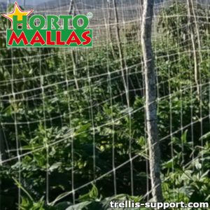 Crops protected by trellis support