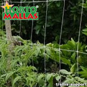 Trellis support installed in a garden