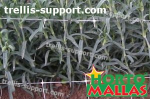 hortomallas support net in cropfield